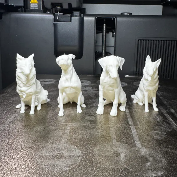 https://makerworld.bblmw.com/makerworld/model/20260310/2798315664/0dbd736f83fc2124.jpeg