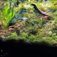 https://makerworld.bblmw.com/makerworld/model/20260316/907241881/e94c027721fb61f1.jpeg