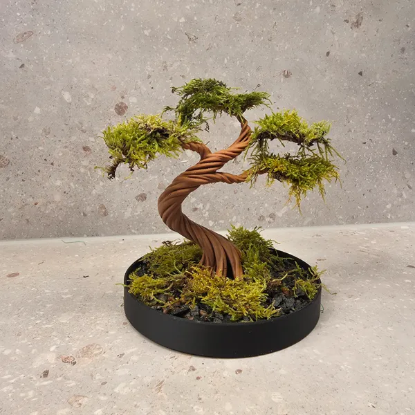 https://makerworld.bblmw.com/makerworld/model/20260317/1149710538/5068038222b1f36b.jpg