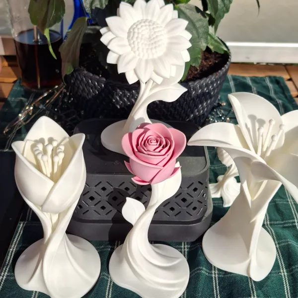 https://makerworld.bblmw.com/makerworld/model/20260324/465980663/839fdaf7383554c3.jpg
