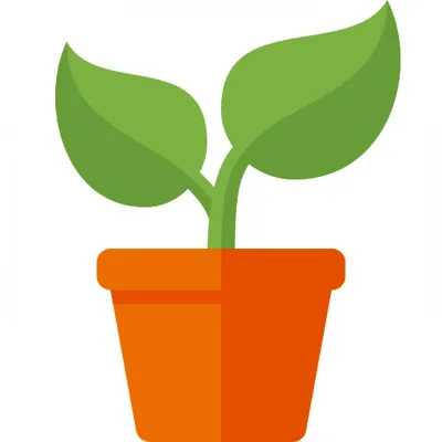 Plants