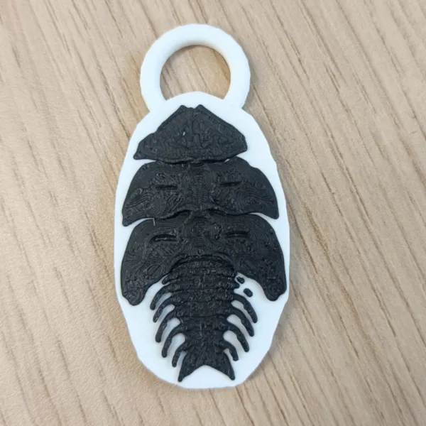 https://makerworld.bblmw.com/makerworld/model/20260402/491893387/5eaf7b37003db4fb.jpg