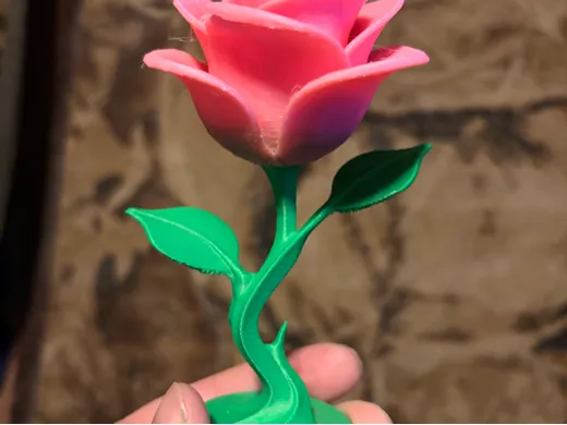 https://makerworld.bblmw.com/makerworld/model/20260404/3889603292/58399f1f049d4984.jpg