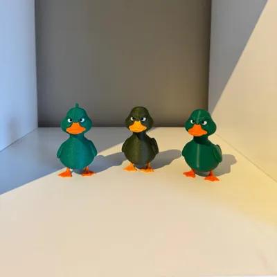 Grumpy Duck