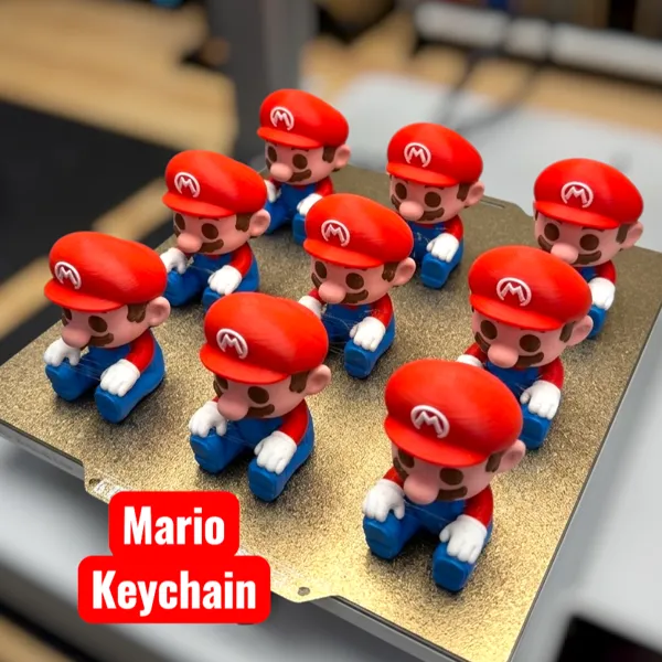 https://makerworld.bblmw.com/makerworld/model/20260411/858192094/724b7e1cbe9eae86.png