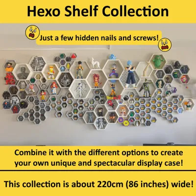 Hexo Shelf Display Case