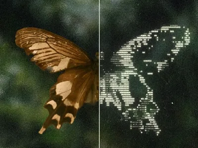 X2D
