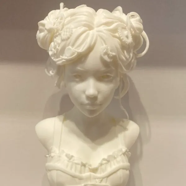 https://makerworld.bblmw.com/makerworld/model/20260426/3303856216/7760b9d09e38f7c9.jpeg