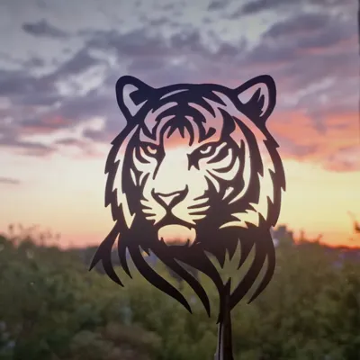 Wildlife Wall Art