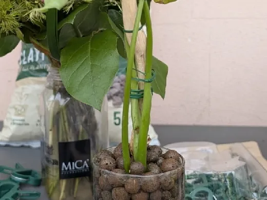 https://makerworld.bblmw.com/makerworld/model/20260427/3113711775/c99ac399ba9e74a6.jpg