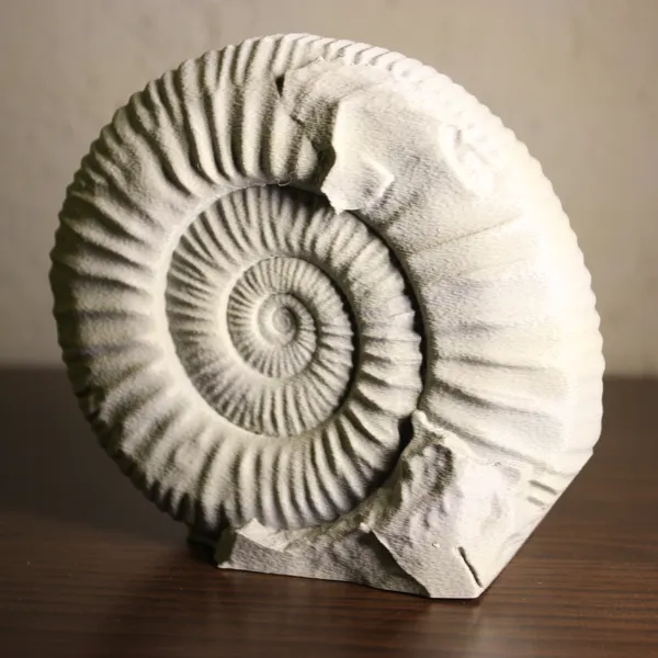 https://makerworld.bblmw.com/makerworld/model/20260428/916995764/970d0d136fa92ef0.jpg