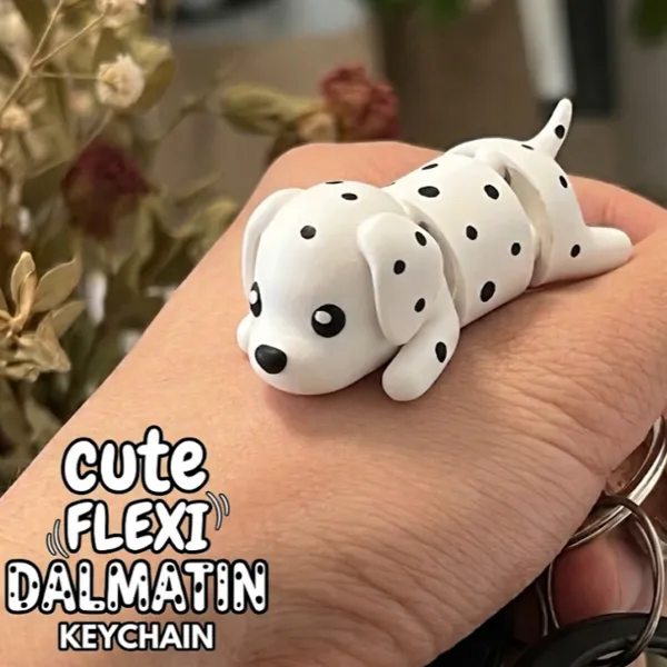 https://makerworld.bblmw.com/makerworld/model/20260502/2405207597/bdb867f6724be280.png