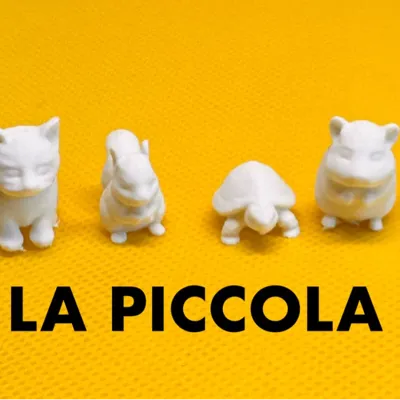 LA PICCOLA COMPAGNIA