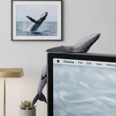 Interesting objects