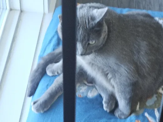 https://makerworld.bblmw.com/makerworld/model/20260503/2396931719/5a810637f085e701.jpg
