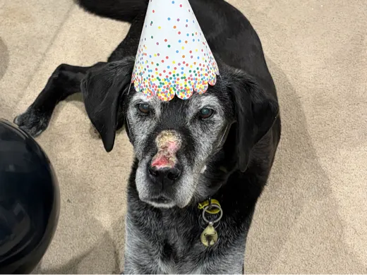 https://makerworld.bblmw.com/makerworld/model/20260504/3228358658/1809b52026d12497.jpg