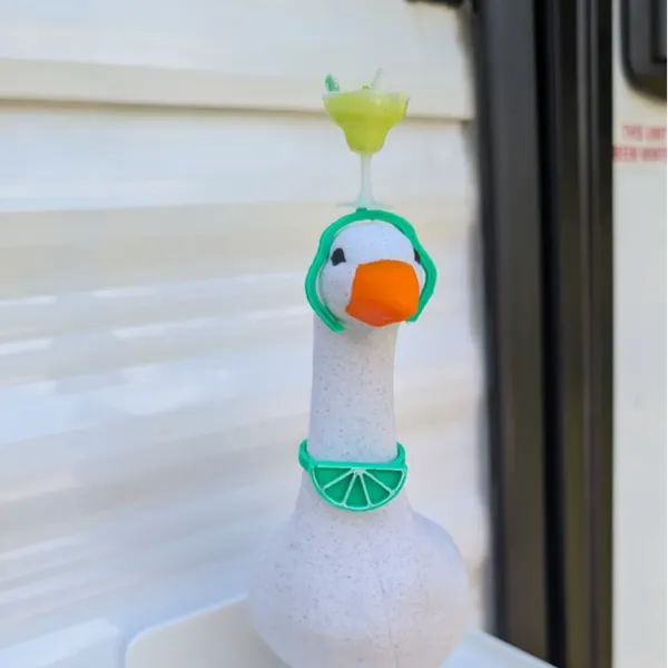 https://makerworld.bblmw.com/makerworld/model/20260508/3668489466/a4fc473062a76528.jpg