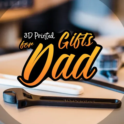 https://makerworld.bblmw.com/makerworld/model/20260512/2563347020/ded95613a0718f84.jpg