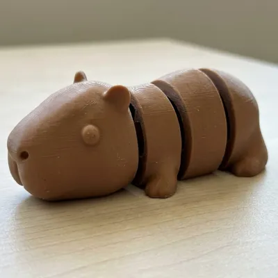 Flexi Model