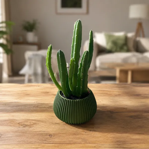 https://makerworld.bblmw.com/makerworld/model/20260517/781655478/21117b40821747a6.png