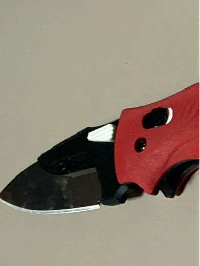https://makerworld.bblmw.com/makerworld/model/20260518/2132449723/e20a8a6d7f459f0b.jpg