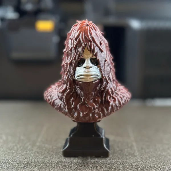 https://makerworld.bblmw.com/makerworld/model/20260518/797669706/017b630090beb1b9.jpg