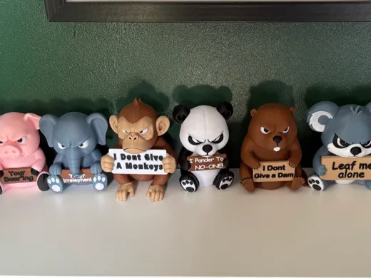 https://makerworld.bblmw.com/makerworld/model/20260527/1032995940/d0cc3d2bec9dfe04.jpg