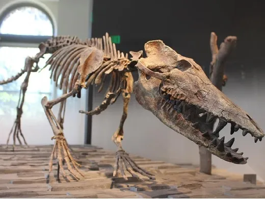 https://makerworld.bblmw.com/makerworld/model/20260527/1388476194/e5562e38ac7405f6.jpg