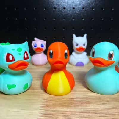 Ducks