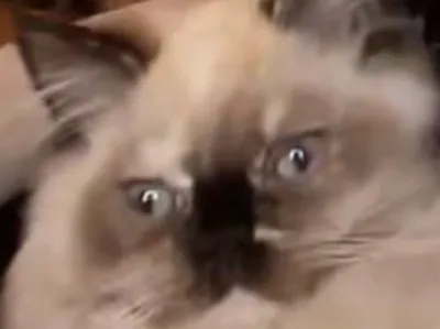 mom