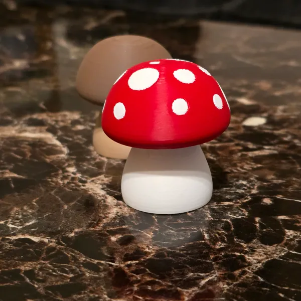 https://makerworld.bblmw.com/makerworld/model/20260602/1789891733/424c962f22c015ed.jpg