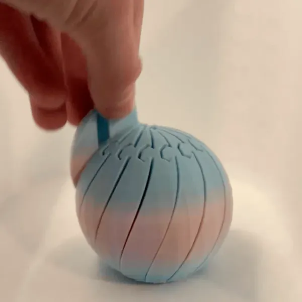 https://makerworld.bblmw.com/makerworld/model/20260603/4020810072/1f51f7408e49ddba.webp