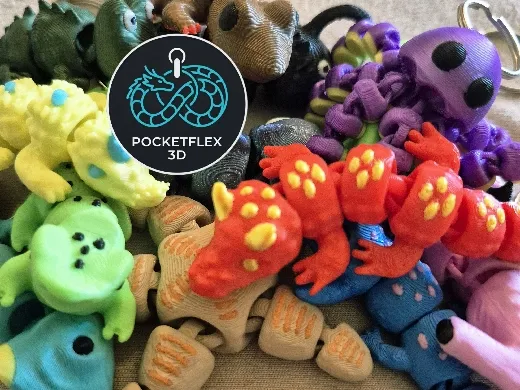 https://makerworld.bblmw.com/makerworld/model/20260608/1055070770/7bb09c363d982063.jpg
