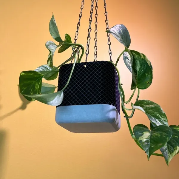 https://makerworld.bblmw.com/makerworld/model/20260611/3856690090/1b2890a6979ffb20.webp