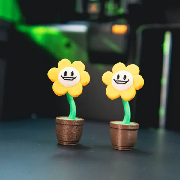 https://makerworld.bblmw.com/makerworld/model/20260618/3735423520/afda550e5470fb2c.jpg