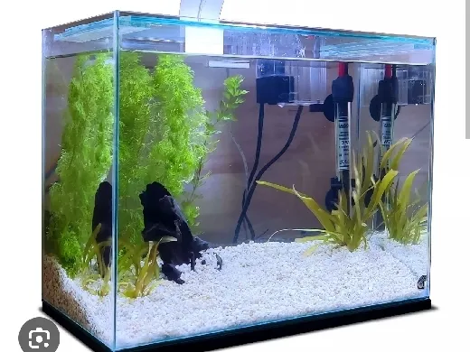 https://makerworld.bblmw.com/makerworld/model/20260619/763674988/9222fdb65149cea7.jpg