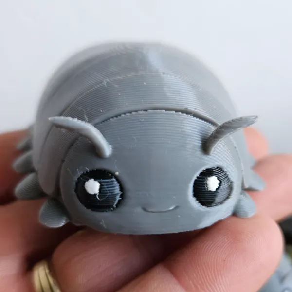 https://makerworld.bblmw.com/makerworld/model/20260621/3435895255/deb718af03aaf1bc.jpg