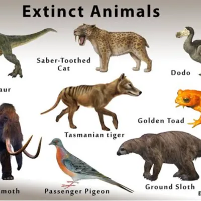 Extinct Animals