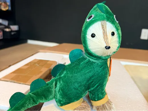 https://makerworld.bblmw.com/makerworld/model/20260707/1058140724/584587e9010a42b9.jpg