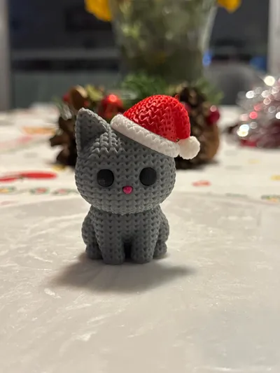 https://makerworld.bblmw.com/makerworld/model/2040289/2201169/ratings/1758ff00-d12c-11f0-9680-b1ad59622b04.jpg