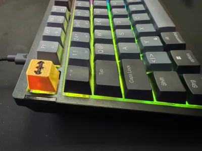 https://makerworld.bblmw.com/makerworld/model/2040645/2201567/ratings/2e99c5d0-ca1c-11f0-96e5-e9a119a2b831.jpg