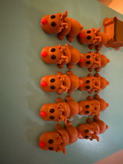 https://makerworld.bblmw.com/makerworld/model/2040872/2201830/ratings/712b71c0-cd6c-11f0-9b4a-efd67218a8db.jpg