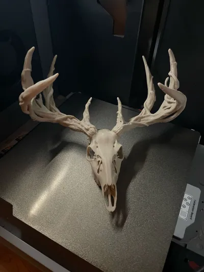https://makerworld.bblmw.com/makerworld/model/2041209/2202215/ratings/4e10fb30-d067-11f0-a62f-59bf09aaec62.jpg
