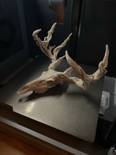 https://makerworld.bblmw.com/makerworld/model/2041209/2202215/ratings/4e12a8e0-d067-11f0-a62f-59bf09aaec62.jpg