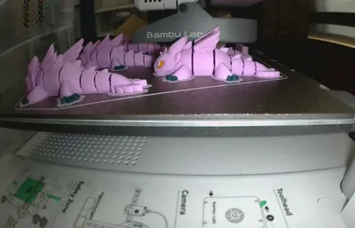 https://makerworld.bblmw.com/makerworld/model/2042463/2203688/ratings/da390fb0-f7fb-11f0-ae98-75ee9633fec6.jpg