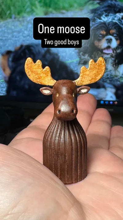https://makerworld.bblmw.com/makerworld/model/2042682/2203946/ratings/f4f819d0-d1c8-11f0-8fa5-7b70043156d6.jpg
