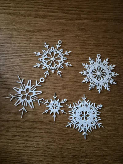 https://makerworld.bblmw.com/makerworld/model/2044509/2206002/ratings/f271e490-dd83-11f0-acb1-2707968caddf.jpg