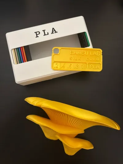 https://makerworld.bblmw.com/makerworld/model/204640/455777/ratings/1a8921e0-8691-11f0-b7fe-49dc23dd61ab.jpg