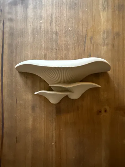 https://makerworld.bblmw.com/makerworld/model/204640/455777/ratings/427ec0d0-ca46-11f0-a53f-5baf435c0c66.jpg
