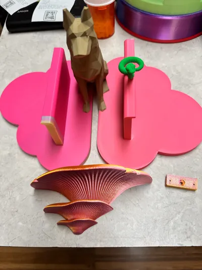 https://makerworld.bblmw.com/makerworld/model/204640/455777/ratings/8dbf1480-4212-11f0-9fcf-73c8719aa66e.jpg